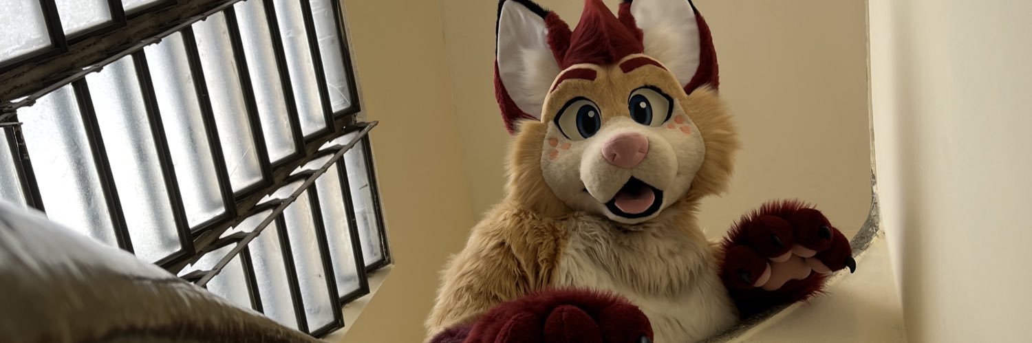 Zyly the Fox! 🧡💛's banner