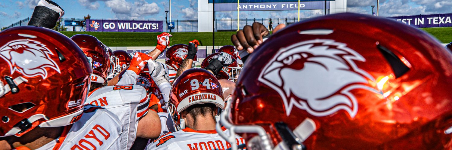 Lamar University Football's banner
