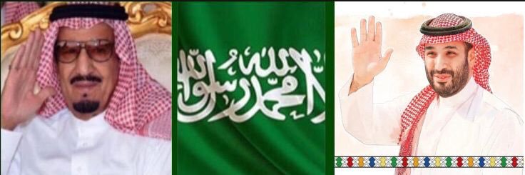 أ.د. صالح الدوسي الزهراني's banner