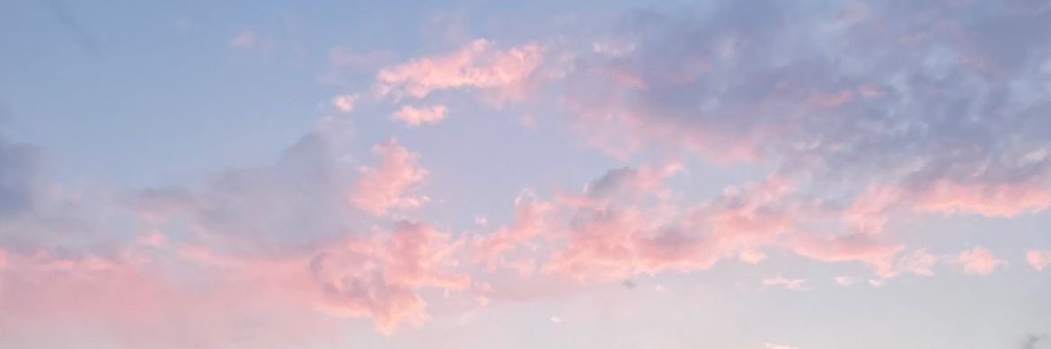 Ale's banner
