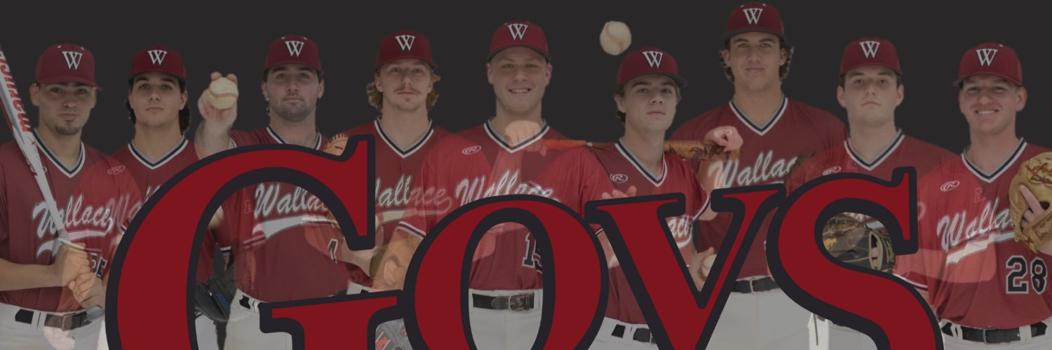 Wallace-Dothan Baseball's banner
