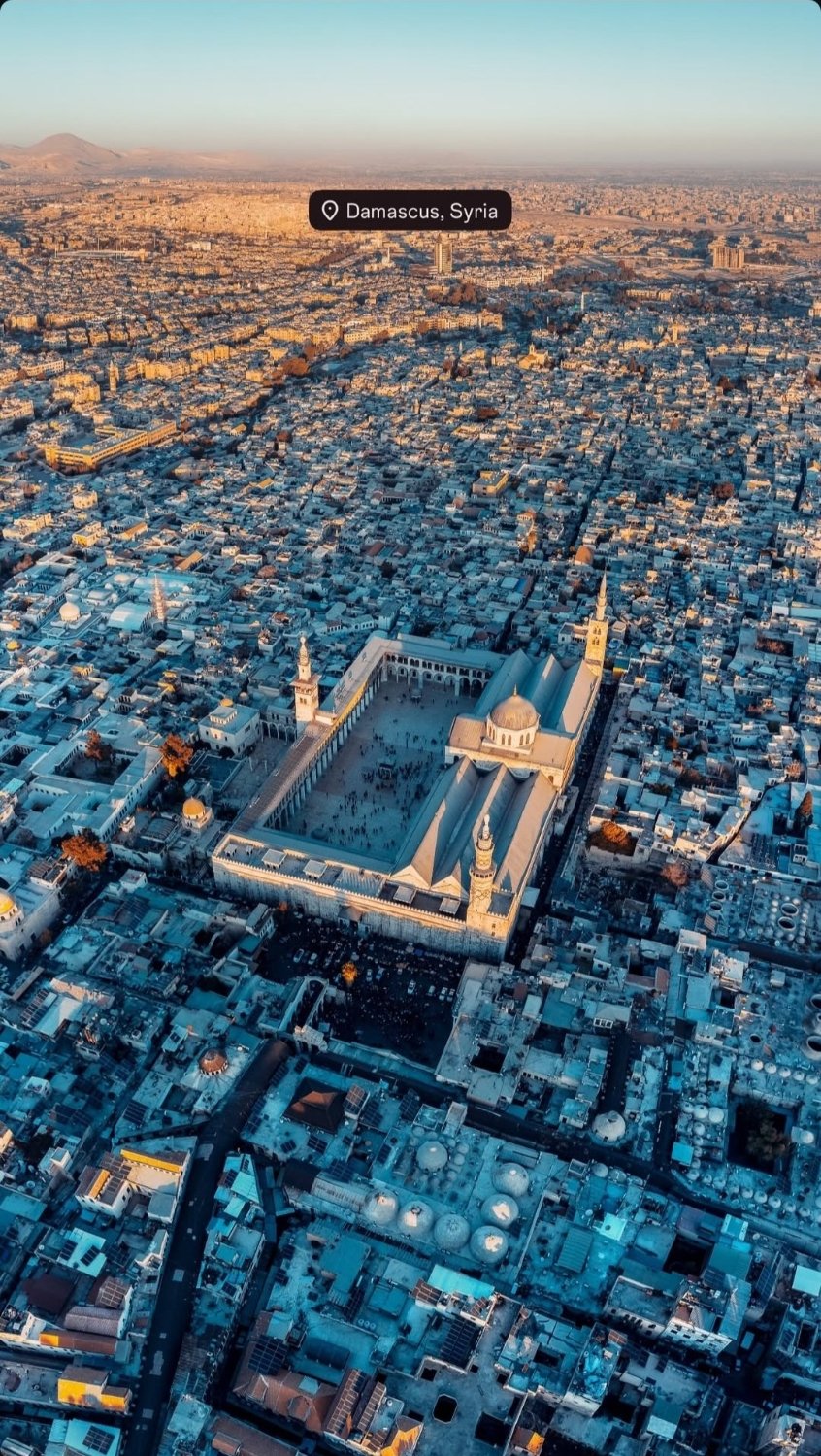 Bani_Umayyad's banner