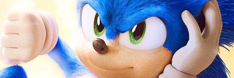 Sonicdude645's banner