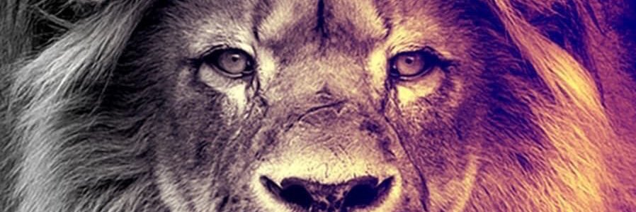 Gökhan Ermiş's banner