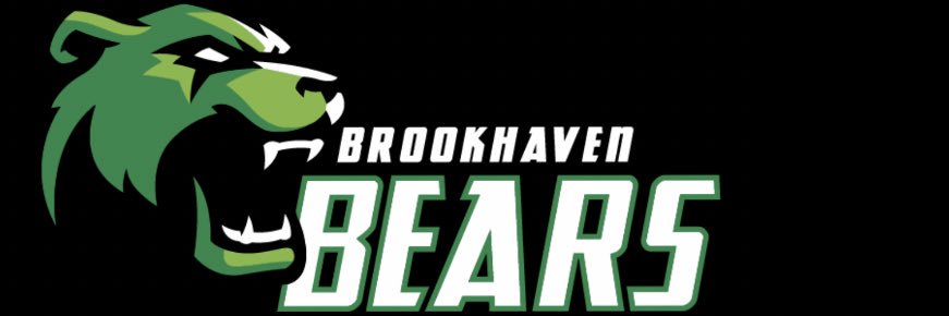Brookhaven Baseball's banner