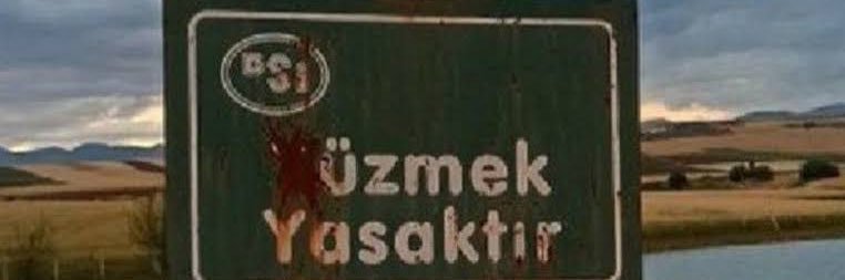 Emel Ama Sayın Değil's banner