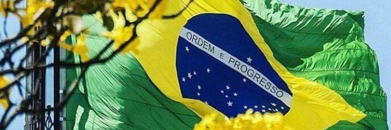 Desmascarando o Lula. 🇧🇷's banner