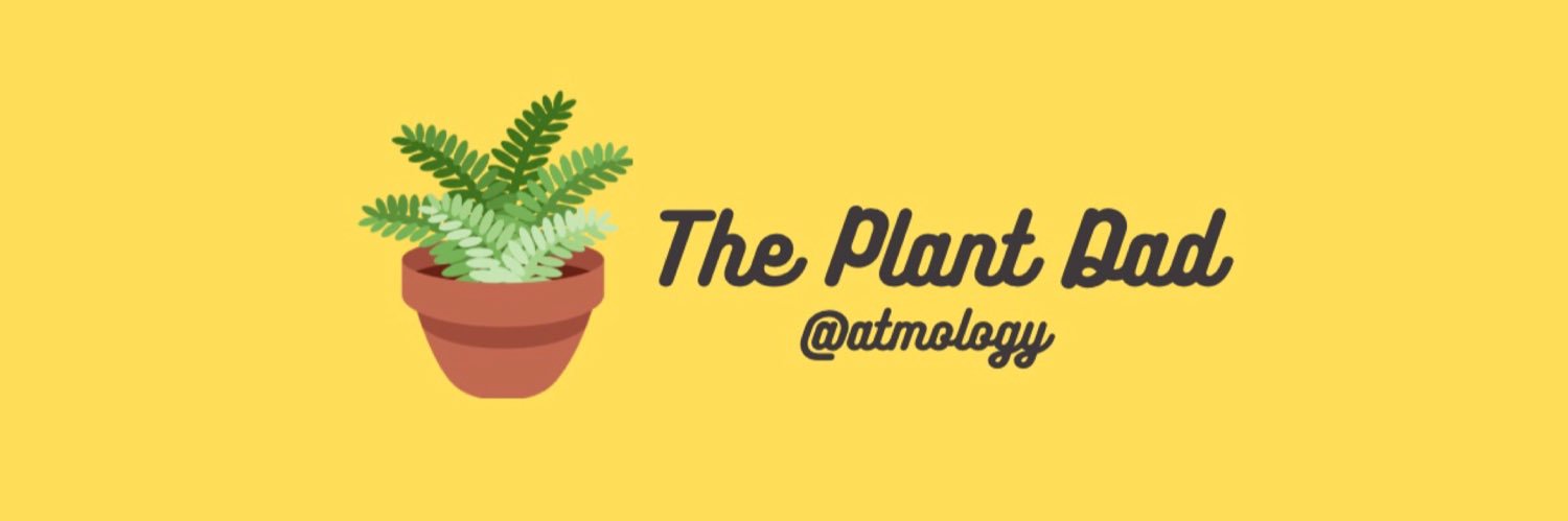 The Plant Dad ⚯͛'s banner