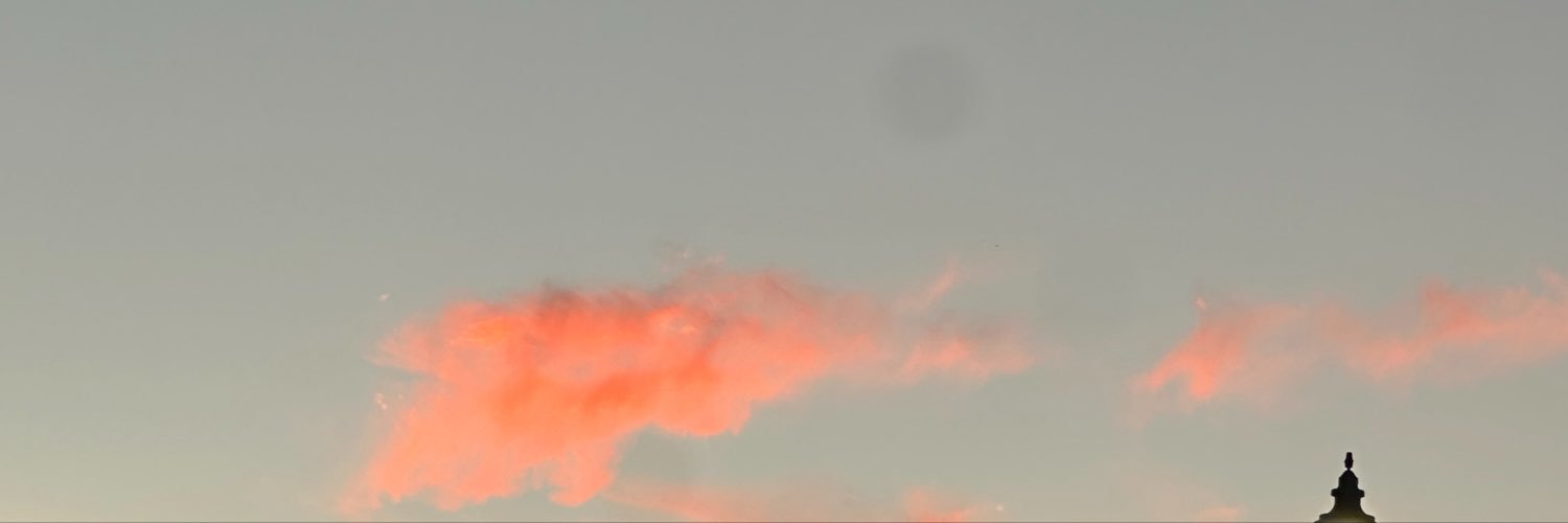 lj's banner