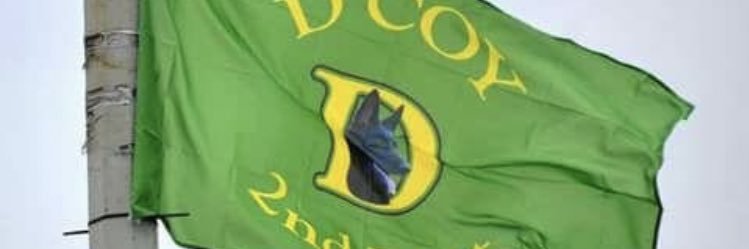 Peter 🍀🏴󠁧󠁢󠁳󠁣󠁴󠁿☘️🇮🇪💚🇵🇸's banner