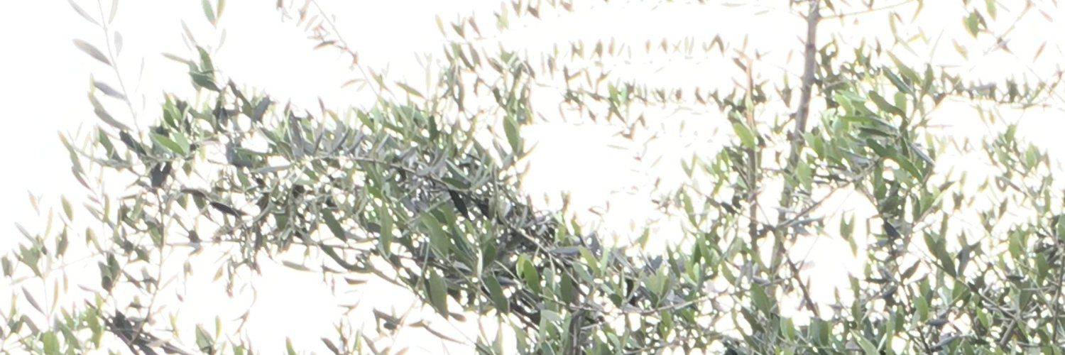 鈴木卓爾's banner