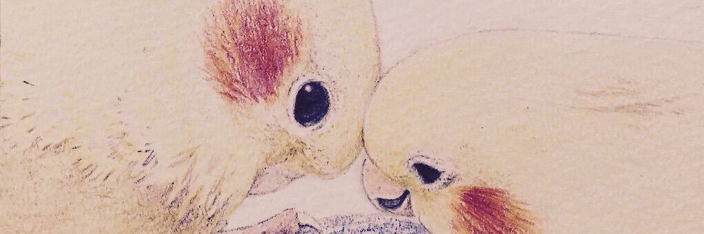 オカメとお豆（kiirogumi）'s banner