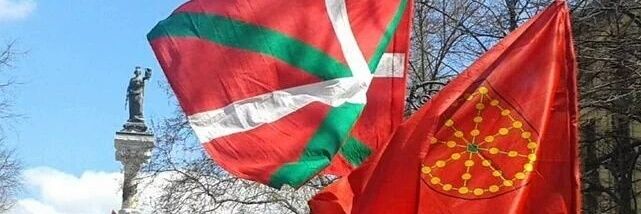 Pernando Barrena MEP 🔻🍉's banner