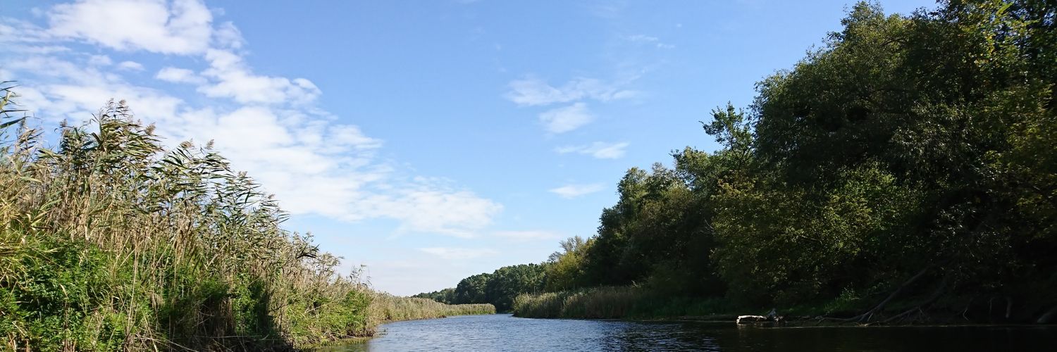 Александр Кайдаш's banner