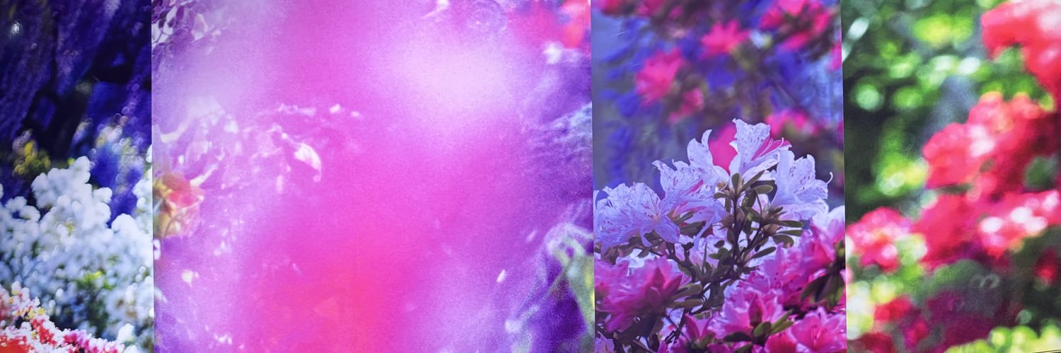 西山あさみ's banner
