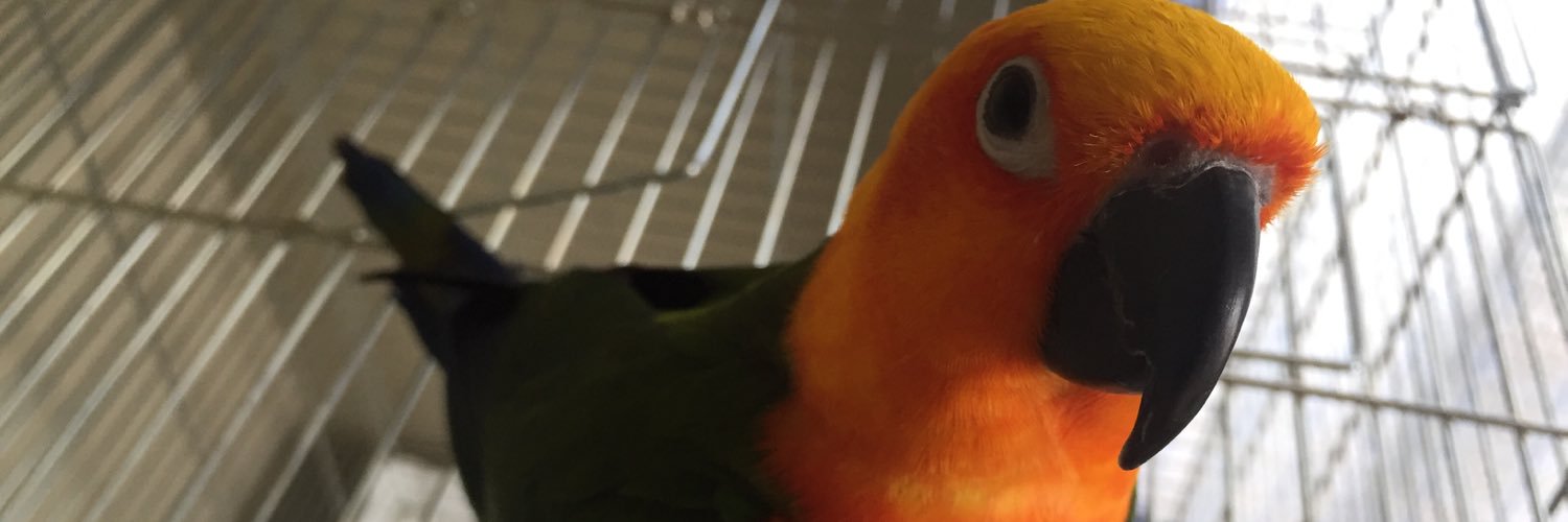 インコ's banner