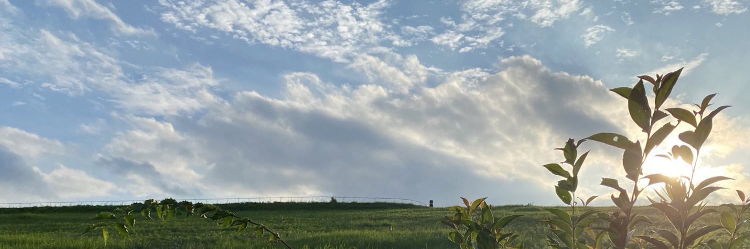 李涛オフィシャル's banner