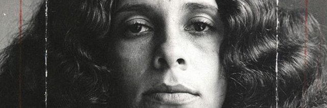 zé brasilidade's banner