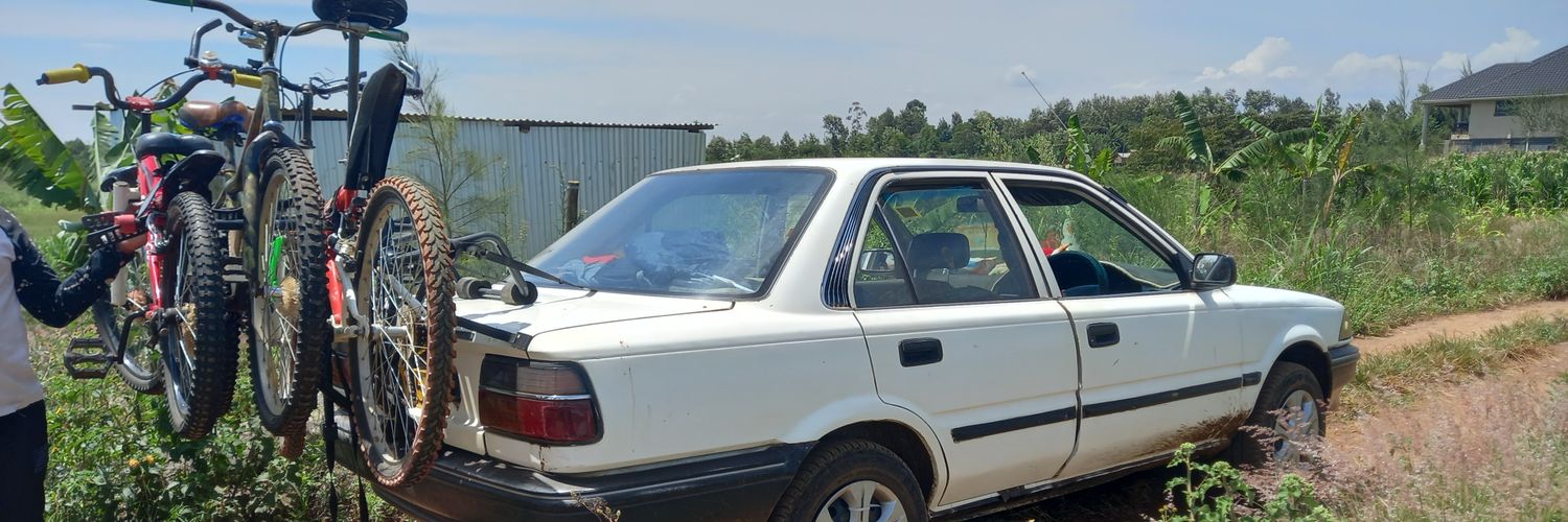 Car Guy's banner