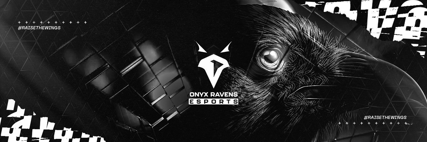 ONYX RAVENS's banner