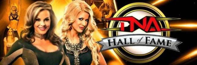 Velvet Sky's banner