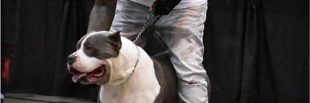 manny blakk's banner