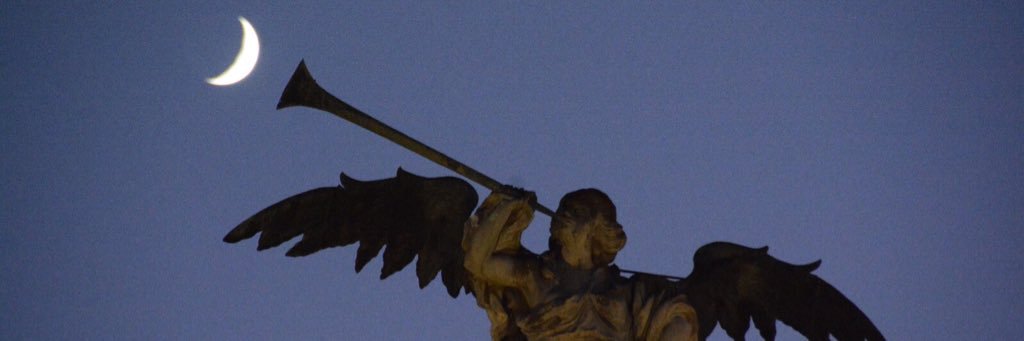 Javier Comas's banner