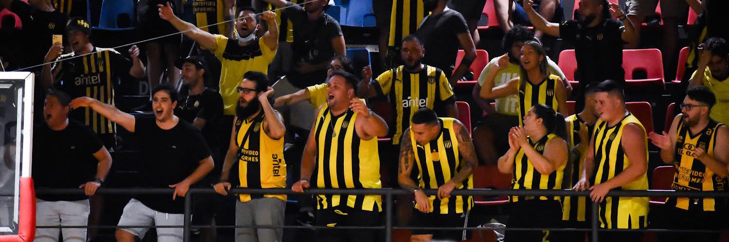 𝘝𝘪𝘤𝘵𝘰𝘳 𝘔𝘢𝘯𝘶𝘦𝘭 𝘉𝘦𝘥𝘳𝘰𝘴𝘴𝘪𝘢𝘯's banner