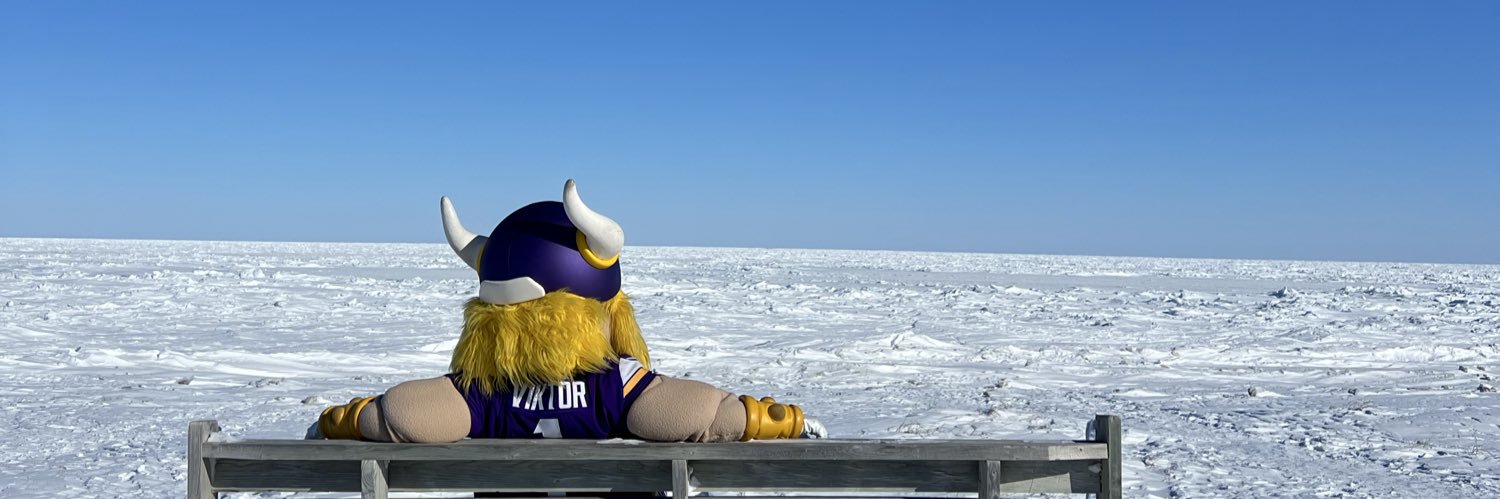 Viktor the Viking's banner