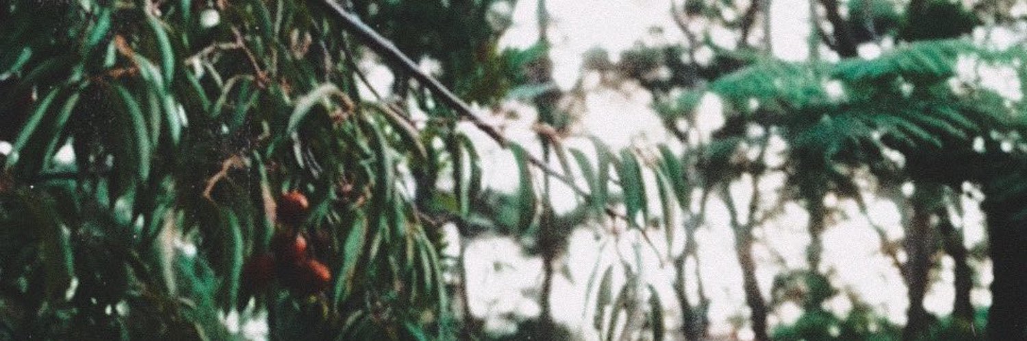 Giulia 👩‍🎨 ☀️'s banner