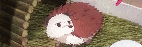 jary 🦔's banner