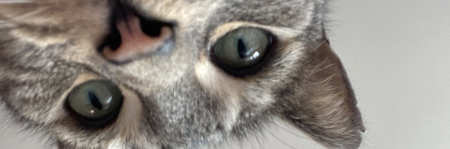 Danni's banner