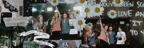 this is not the end's banner