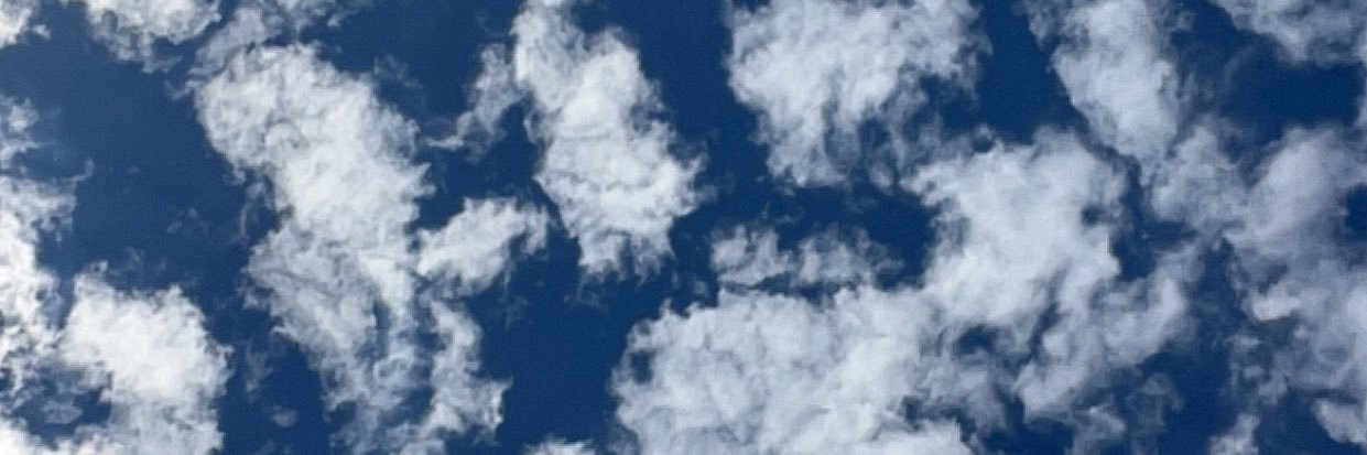 Mitroo's banner
