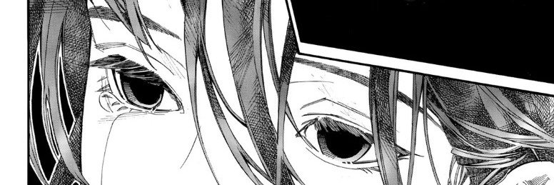 snow's banner