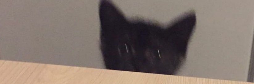 miniboo ྀིྀི's banner