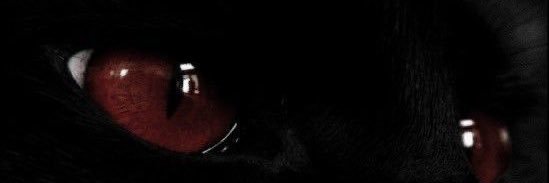 𝔞𝔫𝔤𝔢𝔩𝔦𝔱𝔬 𖤐's banner