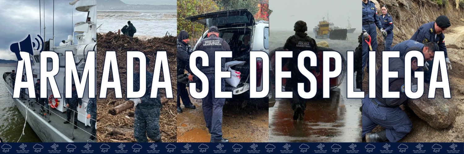 Armada de Chile's banner