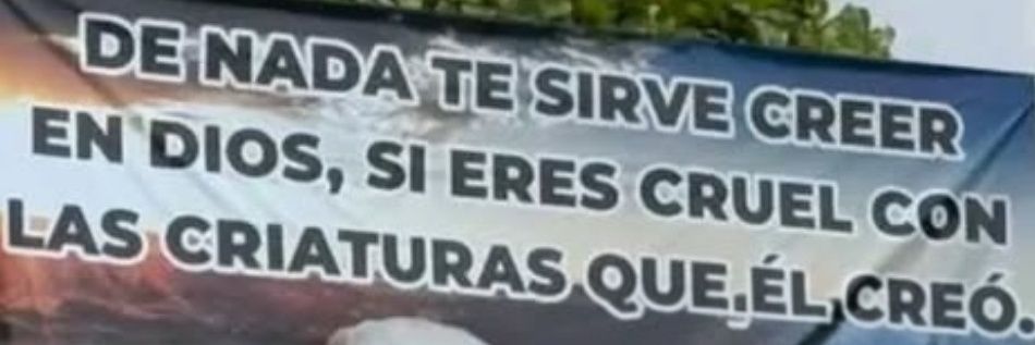 Mexicambita's banner