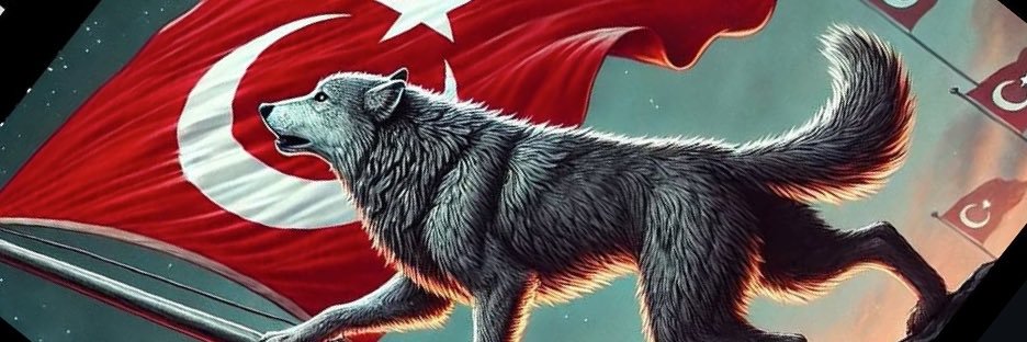 𓃦 𐱅𐰇𐰼𐰚🇹🇷's banner