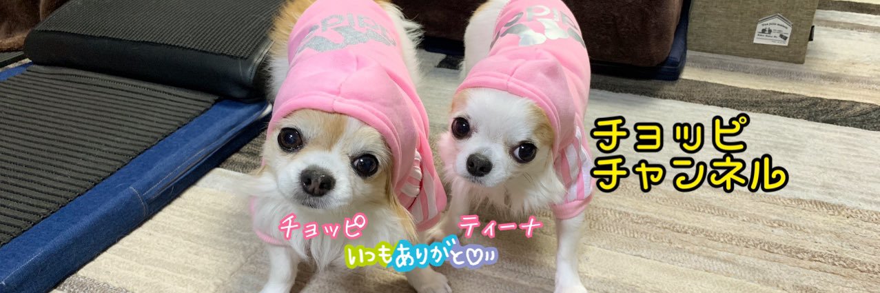 choppi's banner