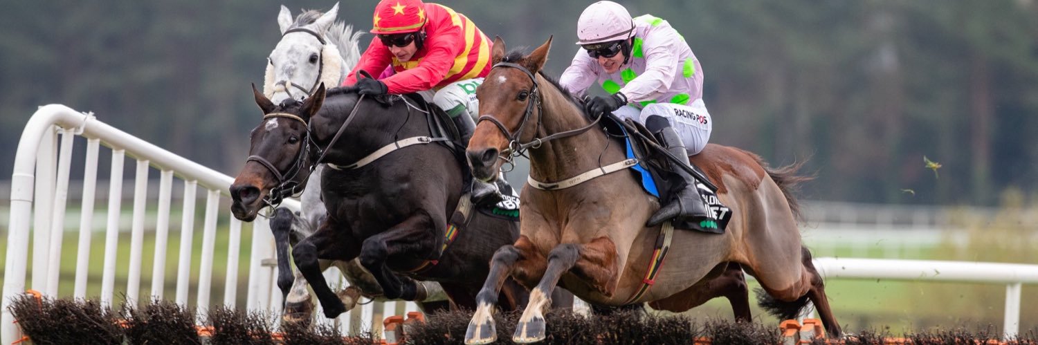Danny Mullins's banner