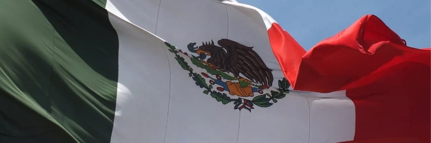 Silvano Aureoles's banner