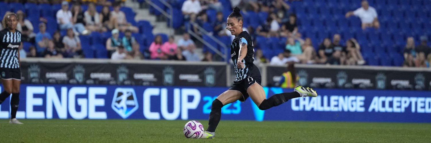 Ali Krieger's banner