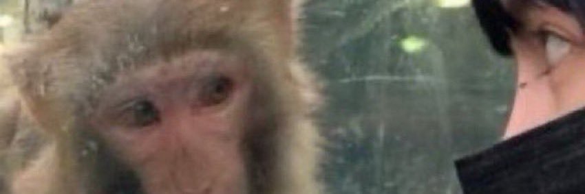 henry ✨🗣's banner