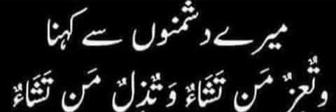 شاہد خاکسار 🐬's banner