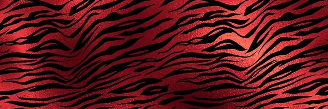 Shae Universe's banner