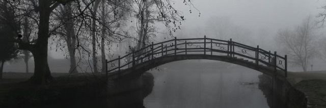 MILK's banner