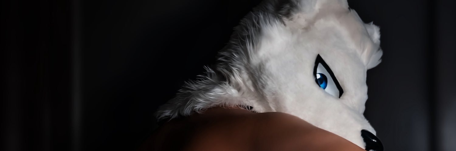 Shiro The White Wolf's banner