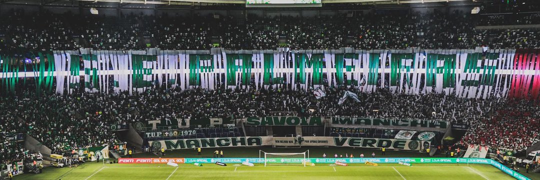 𝑷𝒂𝒍𝒎𝒆𝒊𝒓𝒆𝒏𝒔𝒆 𝑵𝒆𝒘𝒔's banner
